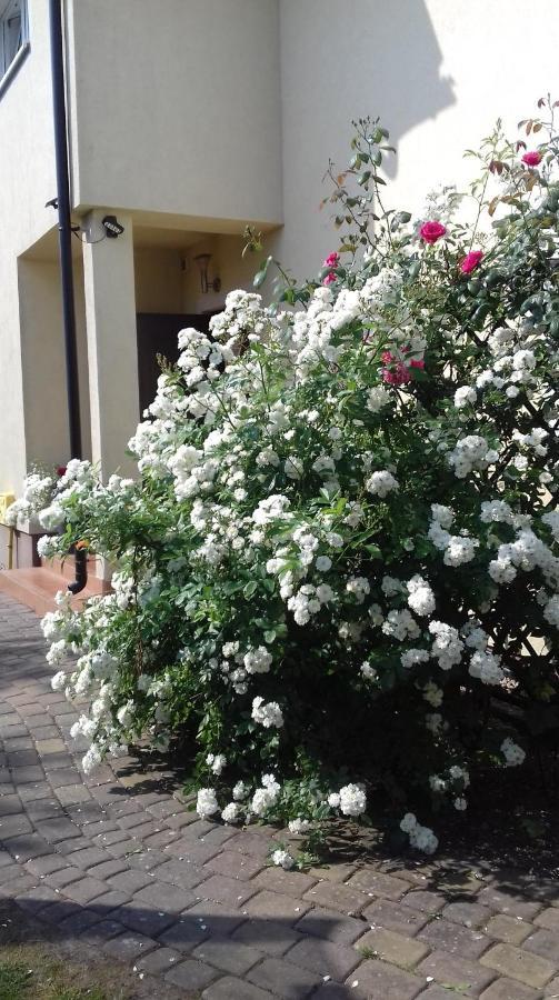Villa Honoratka Z Prywatnym Polem Do Gry W Mini Golf Rewal Dış mekan fotoğraf