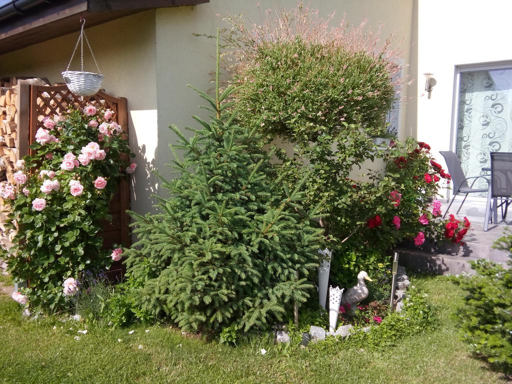 Villa Honoratka Z Prywatnym Polem Do Gry W Mini Golf Rewal Dış mekan fotoğraf