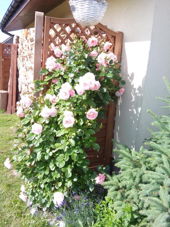 Villa Honoratka Z Prywatnym Polem Do Gry W Mini Golf Rewal Dış mekan fotoğraf